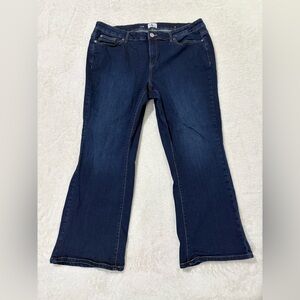 Pennington Classic Straight Leg Blue Jeans Plus Size Petite